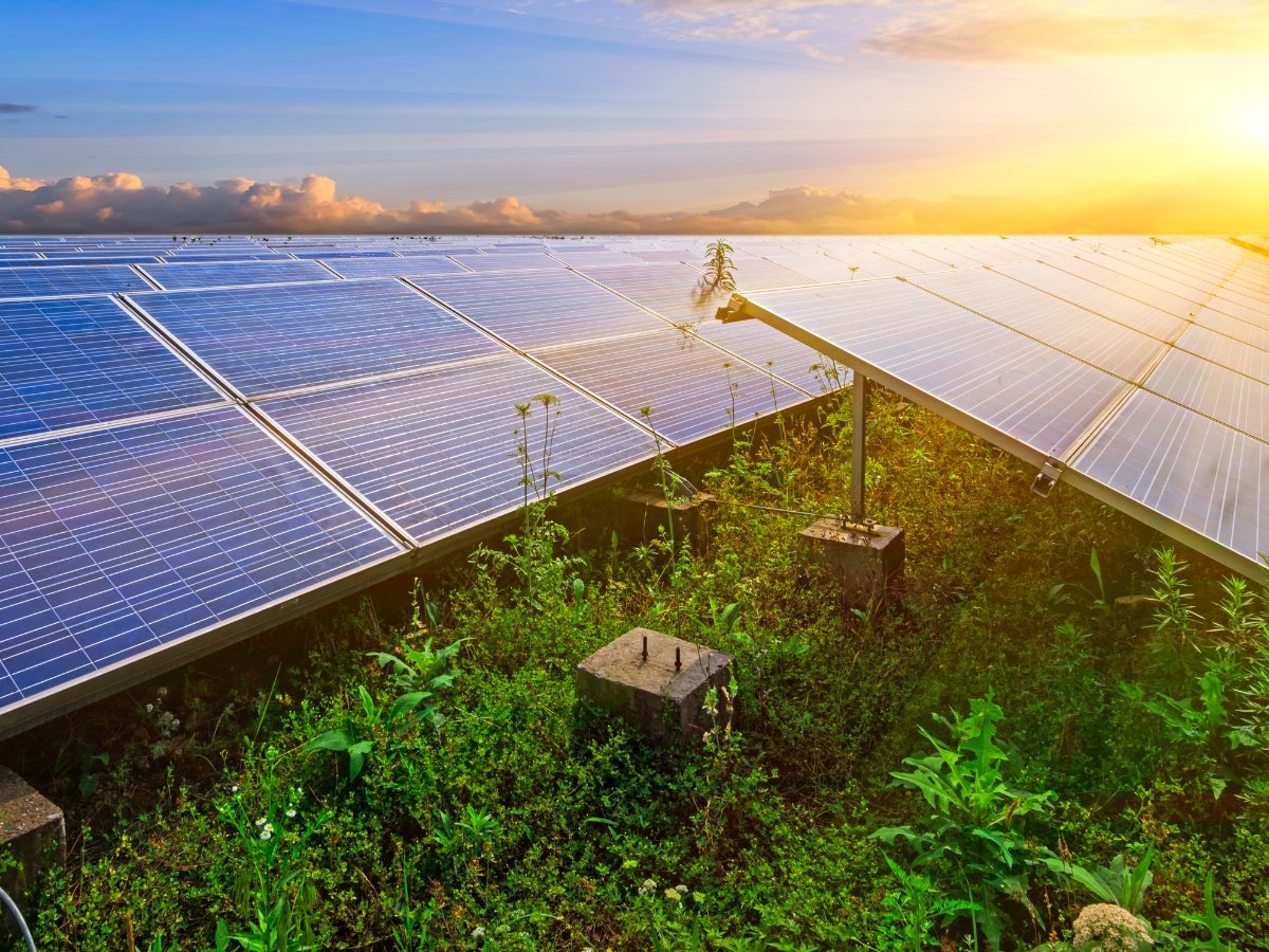 découvrez les avantages de l'énergie solaire, une solution durable et économique pour produire de l'électricité. apprenez comment cette source d'énergie renouvelable peut réduire vos factures et contribuer à la protection de l'environnement. adoptez une énergie propre dès aujourd'hui !