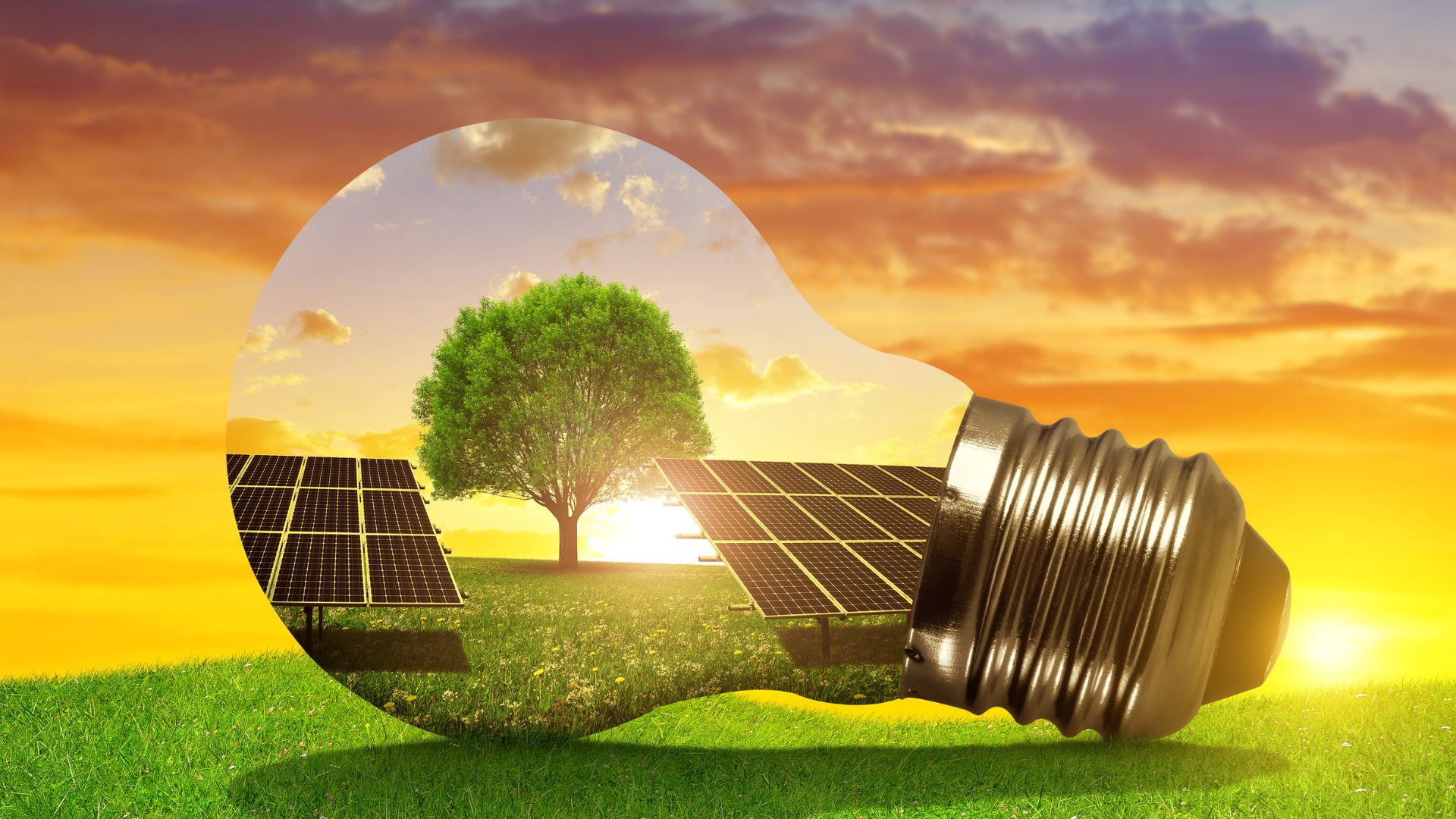 découvrez les avantages de l'énergie solaire, une source d'énergie renouvelable et durable. apprenez comment elle peut réduire vos factures d'électricité tout en préservant l'environnement.