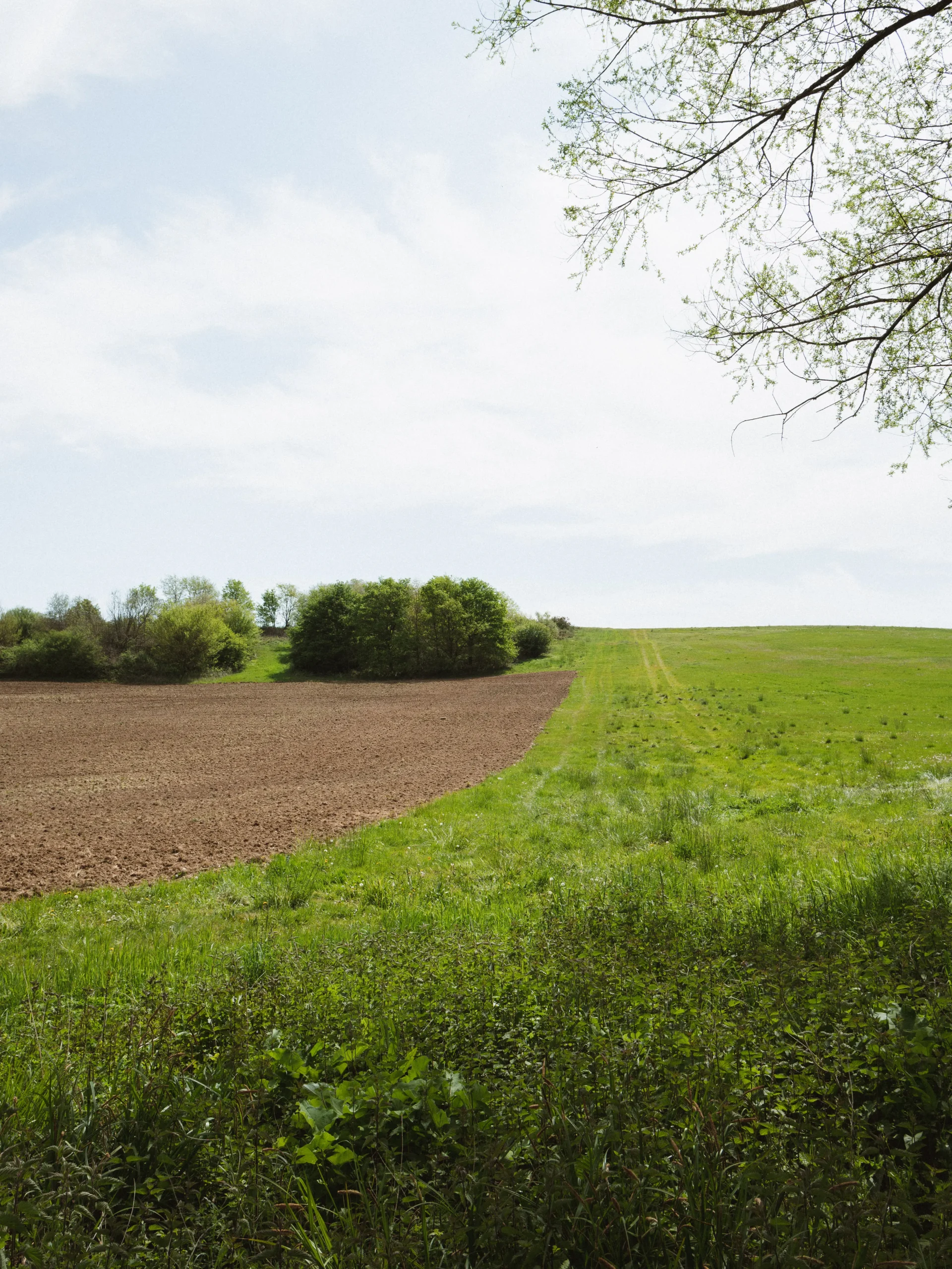 obtenez une estimation précise de la valeur de vos terres agricoles grâce à nos experts. que vous soyez agriculteur, investisseur ou conseiller en agriculture, nous vous aidons à prendre les meilleures décisions financières. contactez-nous pour une évaluation personnalisée!