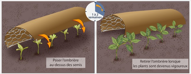 découvrez comment fabriquer une ombrière sur mesure pour protéger votre espace extérieur du soleil. suivez nos conseils pratiques et astuces pour créer un abri esthétique et fonctionnel, parfaitement adapté à vos besoins.