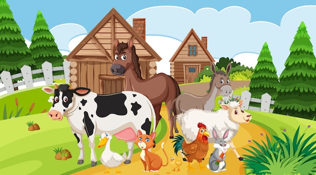 découvrez la vie à la ferme : un retour aux sources, une immersion dans la nature et une expérience authentique au cœur de l'agriculture. explorez nos produits frais, nos animaux et participez à des activités enrichissantes pour toute la famille.