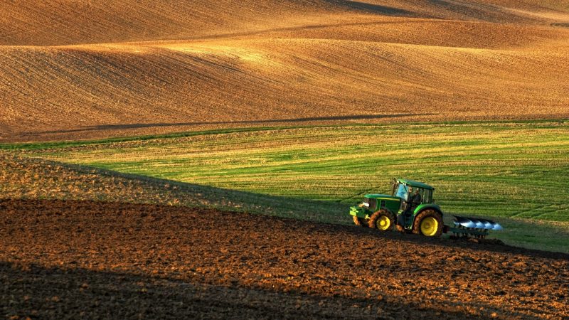 découvrez notre ferme économique où l'agriculture durable rencontre l'innovation. profitez de produits frais et locaux tout en participant à des pratiques respectueuses de l'environnement. rejoignez-nous pour soutenir une agriculture responsable et savourez des saveurs authentiques.