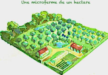 découvrez notre ferme économique, un modèle innovant alliant agriculture durable et respect de l'environnement. produits frais, techniques écologiques et circuits courts, nous vous invitons à explorer un mode de consommation responsable et savoureux.