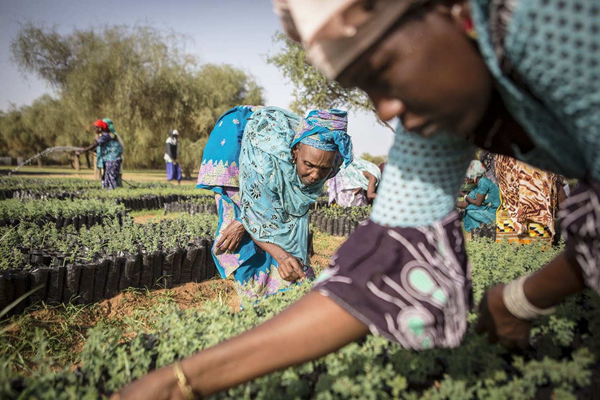 découvrez notre ferme économique, un modèle innovant d'agriculture durable qui allie respect de l'environnement et rentabilité. profitez de produits frais et locaux tout en soutenant une économie responsable.