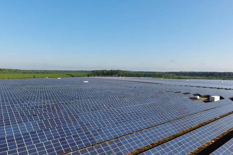 découvrez l'univers des fermes solaires : des installations innovantes qui transforment l'énergie du soleil en électricité verte, contribuant à la transition énergétique et à la protection de l'environnement.