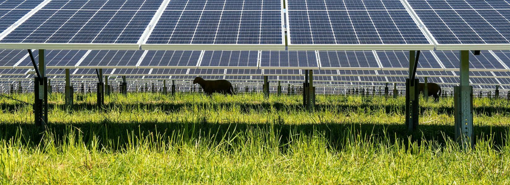 découvrez les bienfaits de la ferme solaire, une solution durable et innovante pour la production d'énergie renouvelable. participez à la transition énergétique tout en préservant notre planète grâce à des installations solaires optimisées.