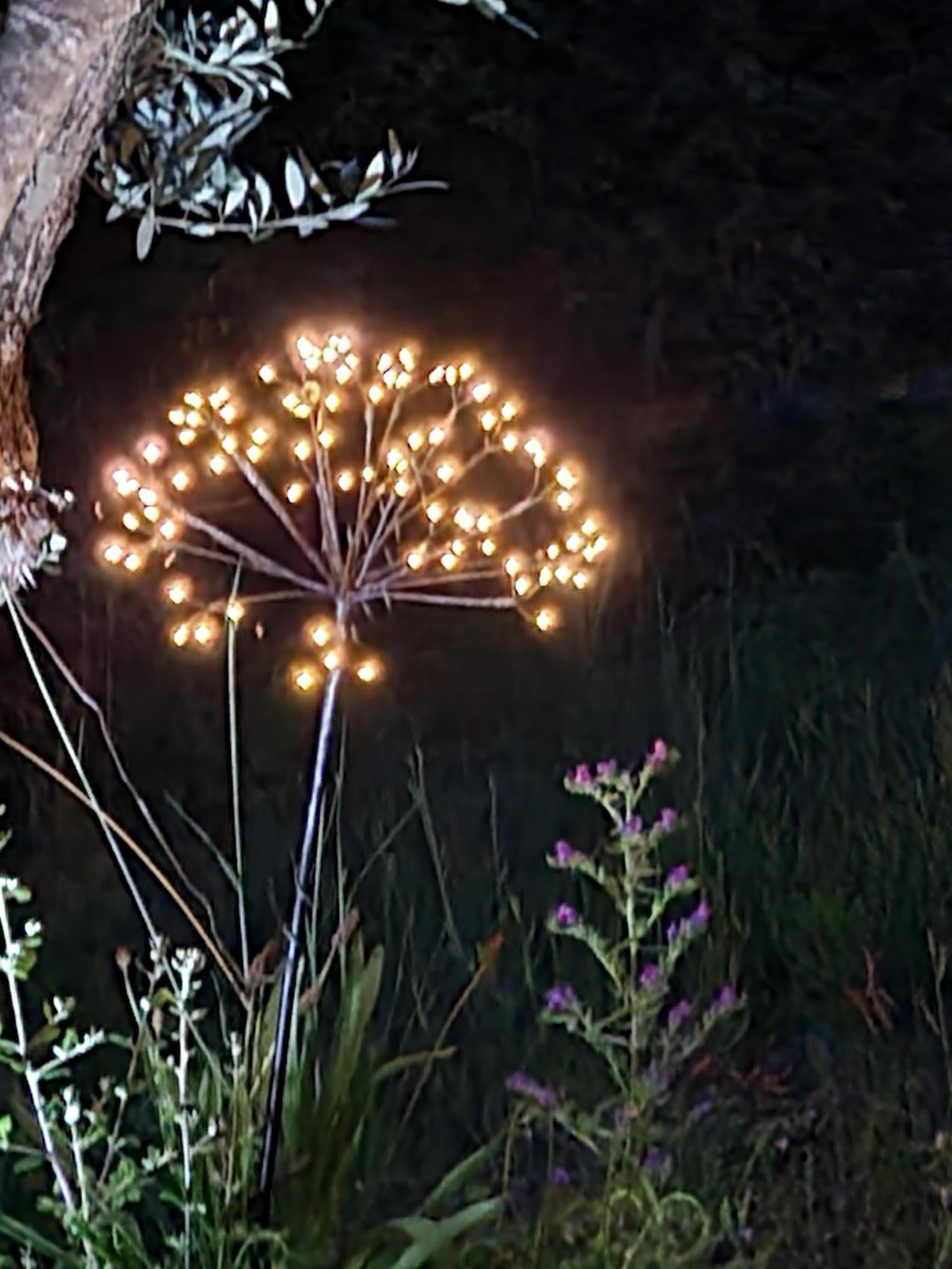 découvrez la fleur solaire, une plante éclatante qui apporte une touche de lumière et de couleur à votre jardin. explorez ses bienfaits, ses caractéristiques et comment en prendre soin pour profiter de sa beauté tout au long de l'été.