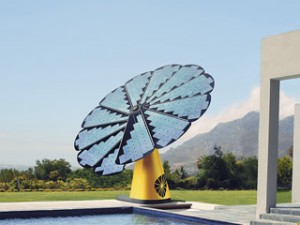 découvrez la délicatesse et la beauté de la fleur solaire, une plante lumineuse qui égaye votre jardin. apprenez tout sur ses caractéristiques, ses besoins en lumière et comment en prendre soin pour qu'elle s'épanouisse pleinement.