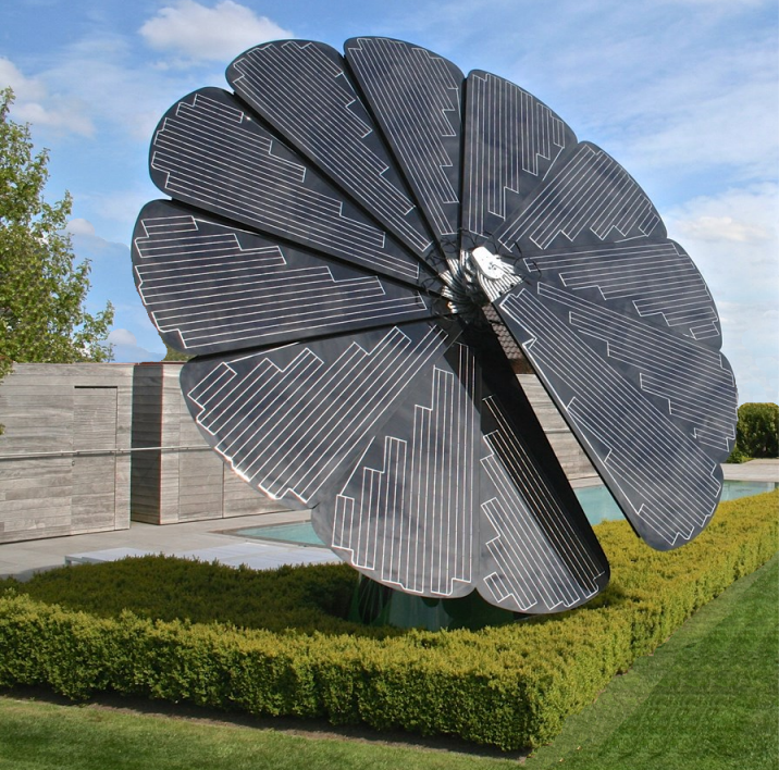 découvrez la fleur solaire, une plante éclatante qui illumine votre jardin avec ses couleurs vives et sa capacité exceptionnelle à s'épanouir sous le soleil. apprenez à l'entretenir et à tirer parti de sa beauté naturelle pour apporter une touche de chaleur et de joie à votre espace extérieur.