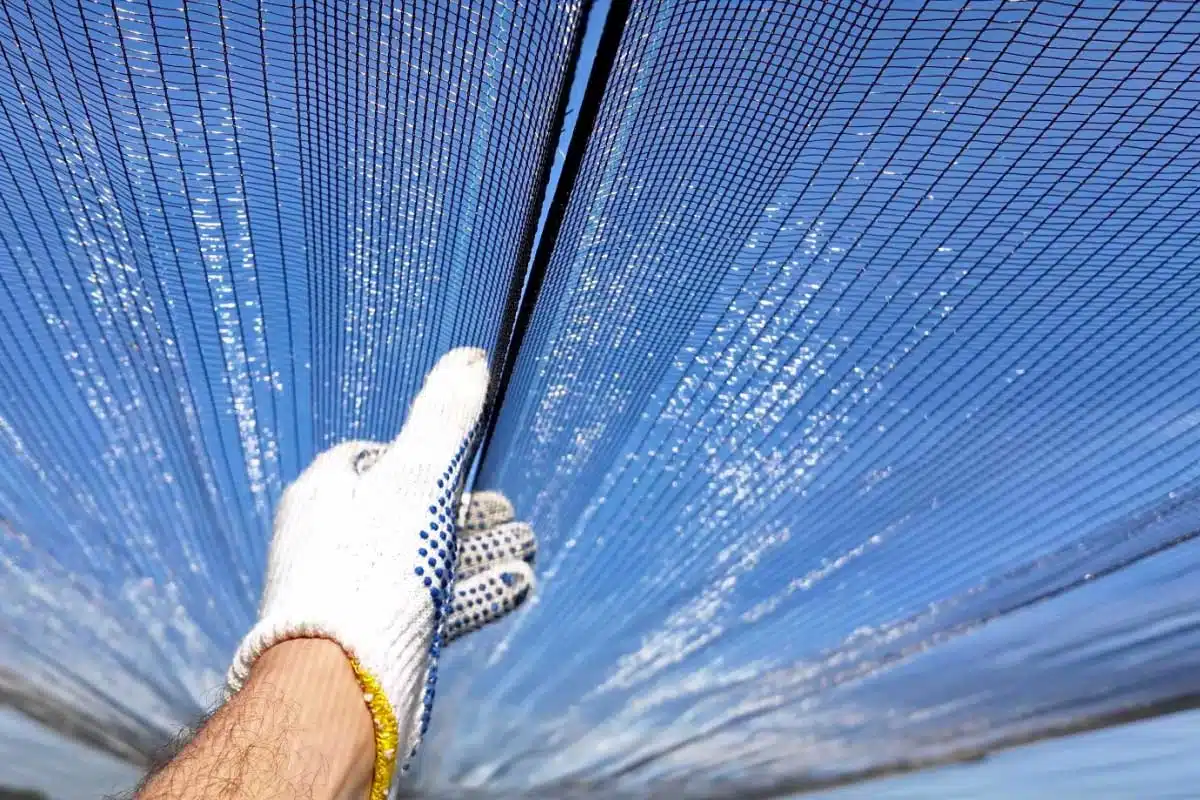 découvrez les impacts du phénomène naturel qu'est la grêle solaire sur notre climat et nos activités quotidiennes. informez-vous sur ses causes, ses effets et comment se préparer face à ce risque environnemental.