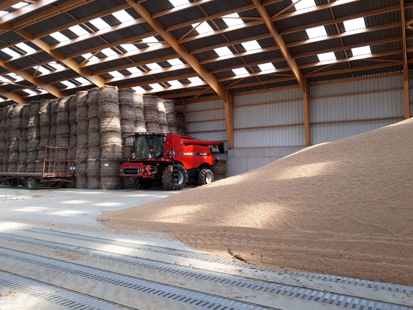 découvrez notre guide complet sur les hangars agricoles, idéaux pour stocker vos équipements et récoltes. apprenez les différentes options disponibles, les matériaux, et comment optimiser votre espace de travail pour une agriculture efficace et durable.