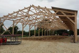 découvrez notre sélection de hangars en bois, alliant esthétisme et fonctionnalité. idéaux pour le rangement d'outils, de matériel de jardin ou comme espace de loisirs, ces constructions sont conçues avec des matériaux de qualité pour garantir durabilité et style. explorez nos différentes tailles et designs pour trouver le hangar en bois qui répond à vos besoins.