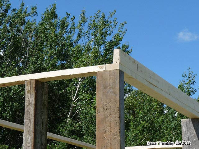 découvrez notre sélection de hangars en bois pas chers, alliant qualité et praticité. idéaux pour le rangement et le stockage, ces hangars s'intègrent parfaitement dans votre jardin. profitez de nos tarifs avantageux et améliorez votre espace extérieur dès aujourd'hui !