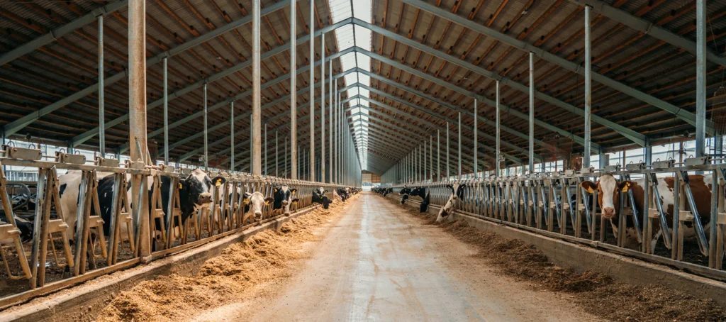 découvrez nos hangars non constructibles, idéaux pour le stockage sécurisé de vos biens. profitez d'un espace pratique sans contraintes de construction, avec des solutions adaptées à vos besoins. contactez-nous pour plus d'informations.