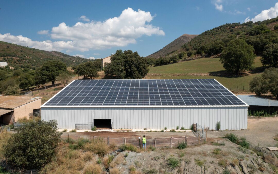 découvrez les avantages d'un hangar solaire, une solution innovante pour allier espace de stockage et production d'énergie verte. optimisez votre consommation d'énergie tout en contribuant à la protection de l'environnement avec cette structure multifonctionnelle.