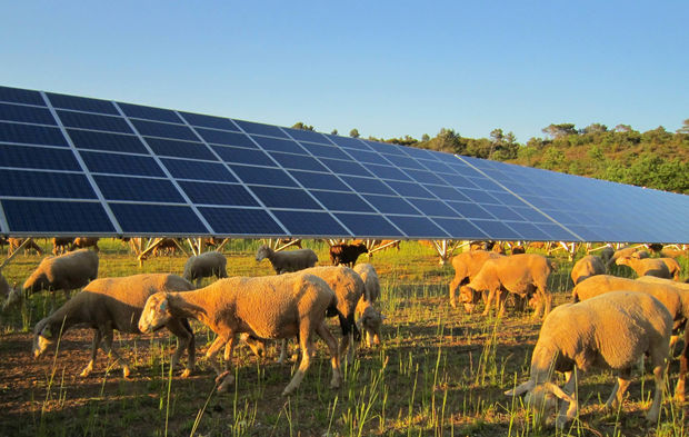 découvrez l'historique de l'énergie solaire, de ses débuts aux innovations modernes. explorez les avancées technologiques et les enjeux environnementaux qui façonnent l'avenir de cette source d'énergie renouvelable incontournable.