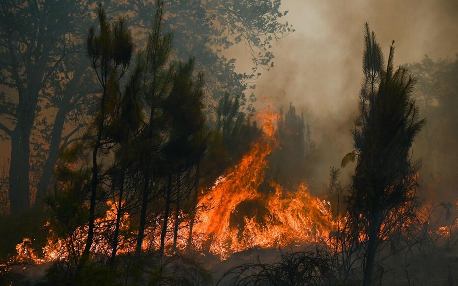 découvrez les causes, conséquences et mesures de prévention des incendies. informez-vous sur les stratégies de lutte contre les feux et les gestes à adopter pour assurer votre sécurité et celle de votre entourage.