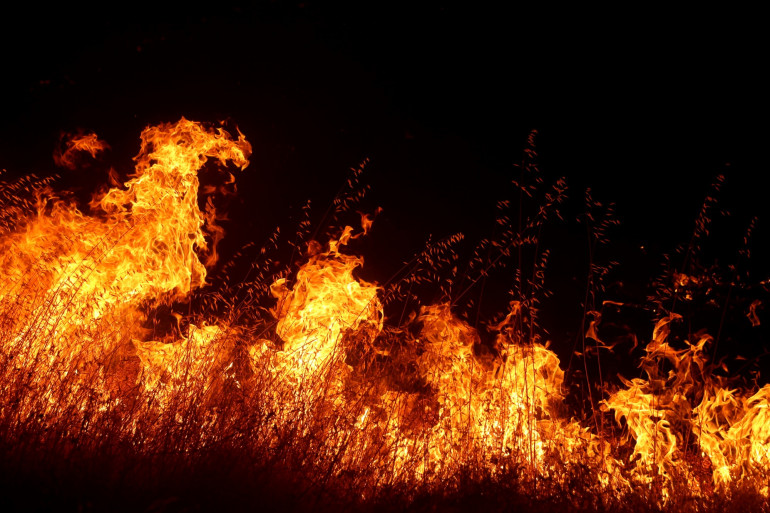 découvrez les causes, les conséquences et les mesures de prévention des incendies. informez-vous sur les stratégies de lutte contre le feu et apprenez comment protéger votre environnement et votre sécurité.