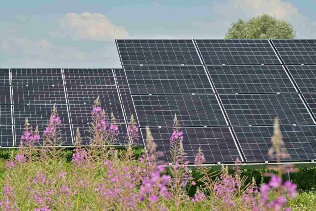 découvrez les inconvénients de l'énergie solaire : coût initial, dépendance aux conditions climatiques, impact environnemental et contraintes d'espace. informez-vous avant d'investir dans des solutions énergétiques renouvelables.