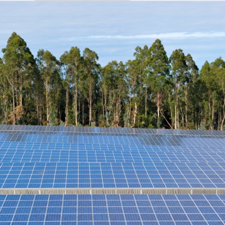 découvrez comment investir dans le photovoltaïque peut non seulement réduire votre empreinte carbone, mais aussi générer des revenus passifs grâce à l'énergie durable. explorez les avantages économiques et environnementaux de cette technologie, ainsi que des conseils pratiques pour bien démarrer votre projet d'investissement.