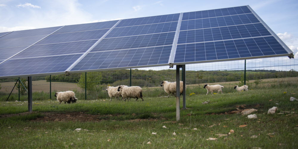 découvrez les avantages de l'investissement solaire pour un avenir durable. maximisez vos économies et contribuez à la protection de l'environnement grâce à des solutions photovoltaïques innovantes. informez-vous sur les opportunités et les financements disponibles pour rentabiliser votre projet solaire.