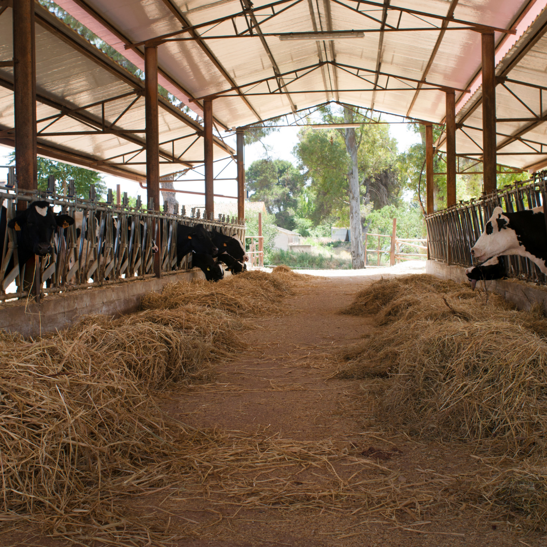 découvrez comment devenir un investisseur photovoltaïque agricole et maximisez vos rendements en alliant investissements responsables et énergie renouvelable. explorez les opportunités offertes par les panneaux solaires dans le secteur agricole et contribuez à un avenir durable.