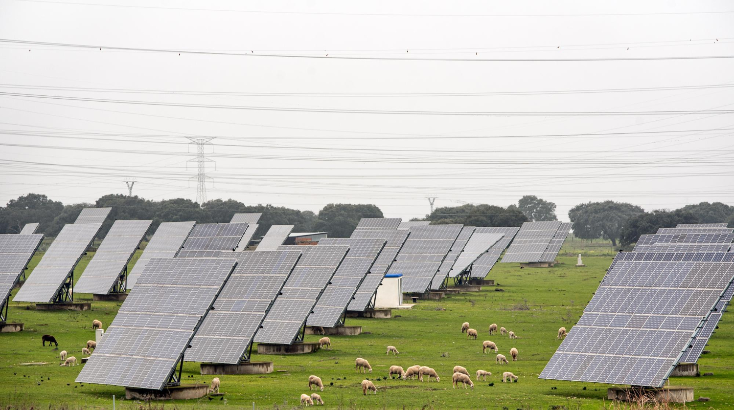 découvrez notre kit photovoltaïque agricole, conçu spécifiquement pour optimiser la production d'énergie renouvelable sur votre exploitation. augmentez votre autonomie énergétique et réduisez vos coûts grâce à des panneaux solaires de haute performance adaptés aux besoins des agriculteurs.