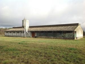 découvrez nos options de location de bâtiments agricoles adaptés à vos besoins. que vous soyez agriculteur ou éleveur, trouvez l'espace idéal pour faire prospérer votre activité. visitez notre site pour en savoir plus!