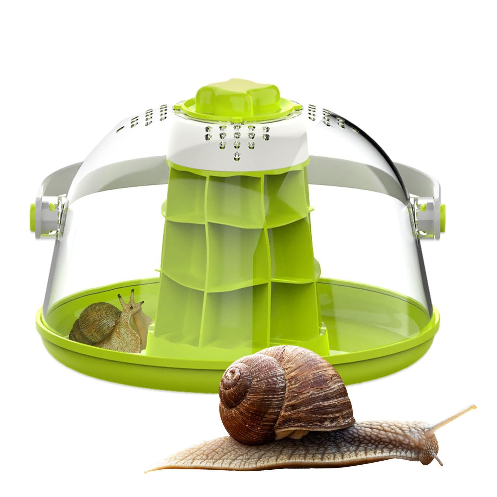 découvrez notre maison éleveur, un espace dédié à l'élevage passionné et responsable. ici, nous partageons notre amour pour les animaux tout en offrant un cadre chaleureux et accueillant. rejoignez-nous pour explorer nos pratiques d'élevage éthique et rencontrer nos adorables animaux.