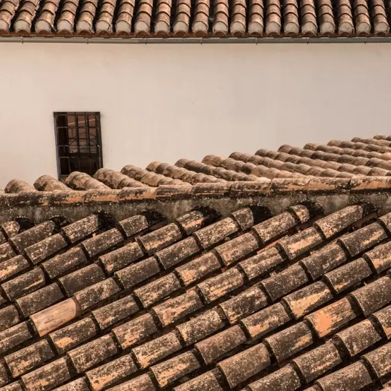 découvrez nos services de nettoyage de toiture pour préserver l'intégrité de votre maison. grâce à des techniques professionnelles et un savoir-faire expert, nous éliminons mosses, lichens et salissures, tout en prolongeant la durée de vie de votre toiture. contactez-nous pour un devis personnalisé !