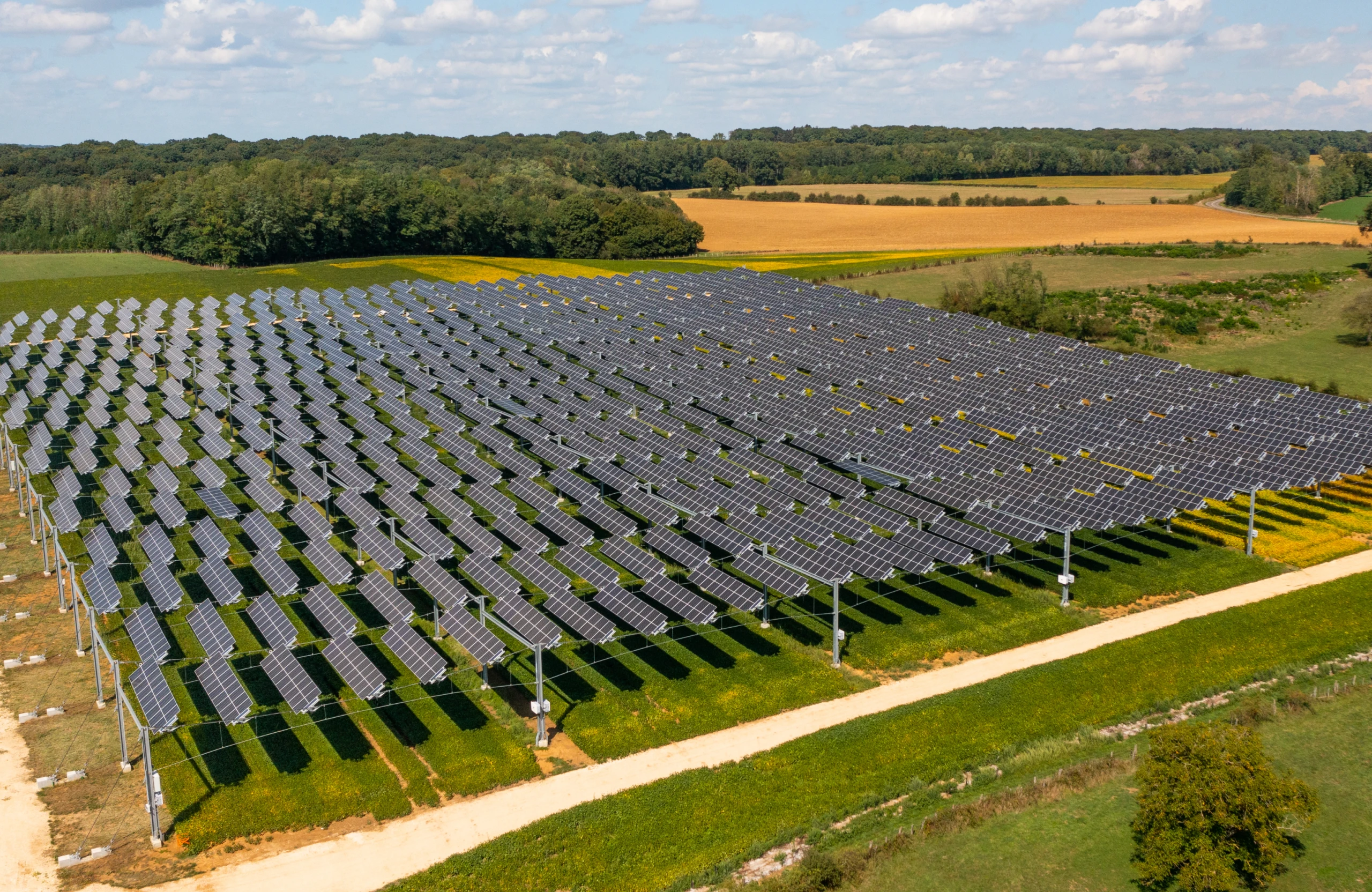 découvrez l'ombrière agricole, une solution innovante pour optimiser la culture et protéger vos plantes. grâce à ce dispositif moderne, profitez d'une protection contre les intempéries tout en favorisant la biodiversité. idéal pour maximiser vos récoltes tout en respectant l'environnement.