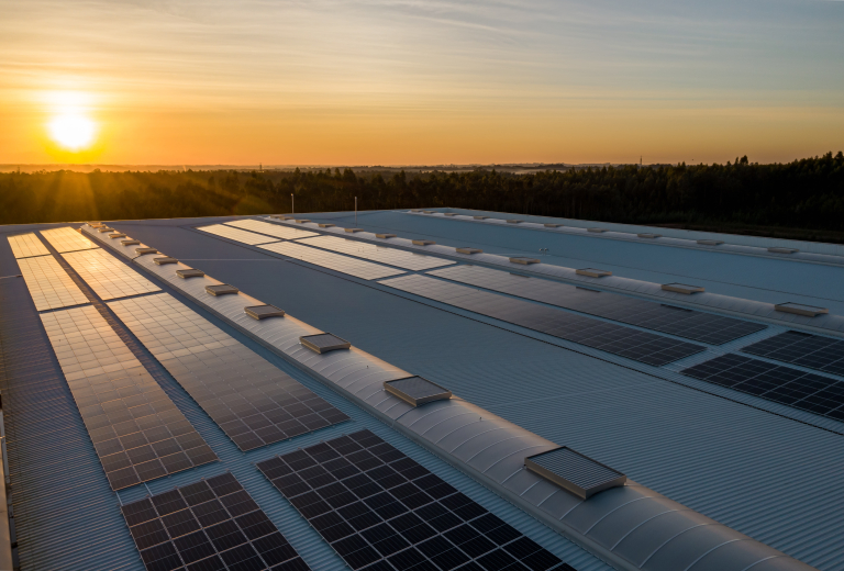 découvrez notre guide sur les panneaux solaires à 1 euro en 2025 : une opportunité inédite pour investir dans l'énergie verte tout en réduisant vos factures d'électricité. informez-vous sur les conditions, les avantages et comment en bénéficier dès maintenant.
