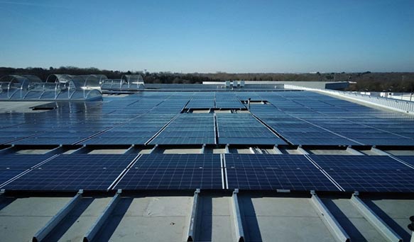 découvrez notre entreprise spécialisée dans les panneaux solaires, offrant des solutions durables et économiques pour l'énergie solaire. nous vous accompagnons dans l'installation et l'entretien de systèmes photovoltaïques performants pour réduire votre empreinte carbone et vos factures d'énergie.