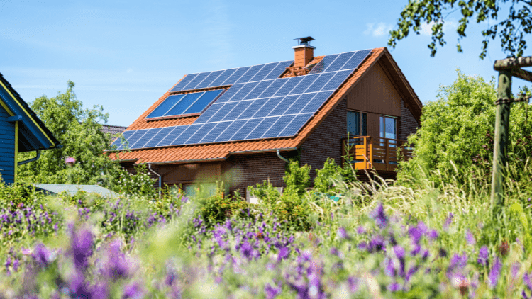 découvrez comment bénéficier d'un panneau solaire subventionné et réduisez vos factures d'énergie tout en contribuant à la protection de l'environnement. profitez des aides financières disponibles pour une transition énergétique réussie.