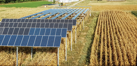 découvrez notre gamme de panneaux agricoles, solutions idéales pour optimiser vos cultures et améliorer la durabilité de vos exploitations. explorez des produits innovants adaptés aux besoins des agriculteurs.
