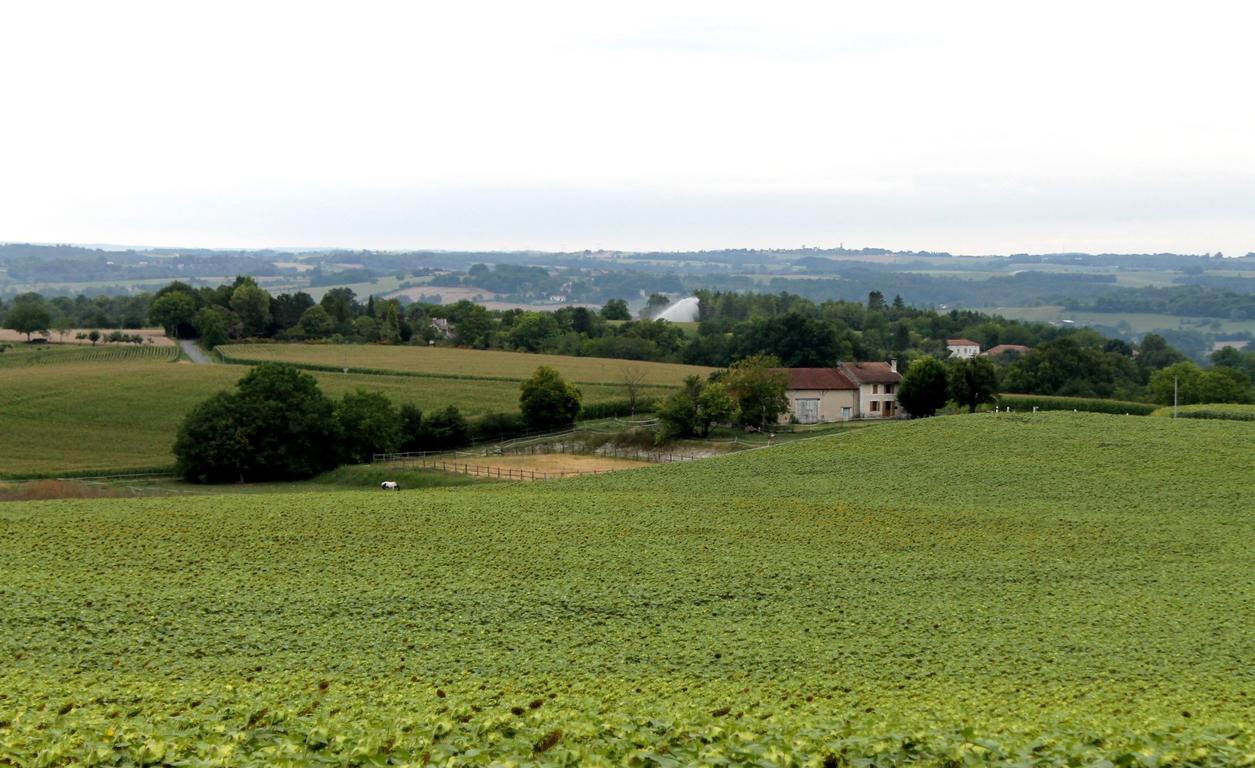 obtenez votre permis bâtiment agricole en toute simplicité. découvrez les étapes essentielles, les réglementations à suivre et les conseils pratiques pour réussir votre projet de construction agricole en france.