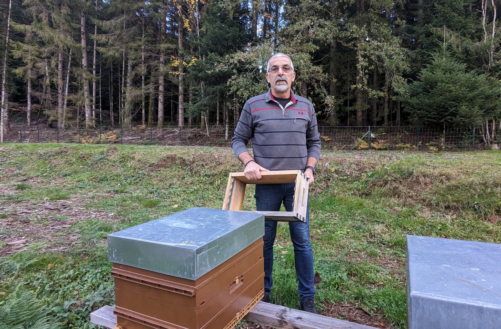 découvrez les causes et les conséquences de la perte d'ensoleillement sur l'environnement et la biodiversité. apprenez comment cette problématique impacte les écosystèmes et quelles solutions peuvent être mises en place pour y remédier.