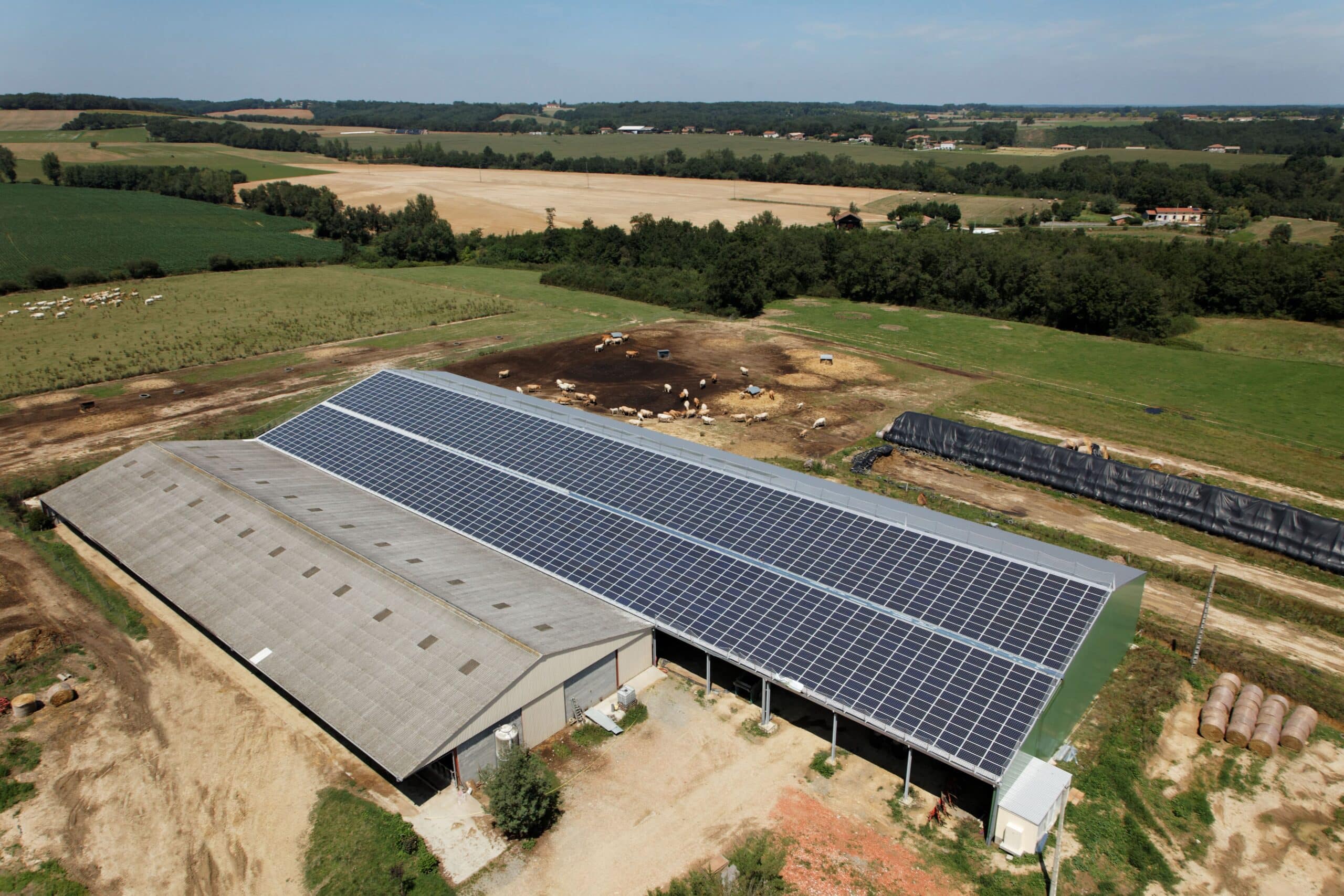 découvrez comment le photovoltaïque agricole transforme les exploitations agricoles en solutions énergétiques durables, optimisant la production tout en réduisant les coûts. explorez les avantages environnementaux et économiques de l'énergie solaire sur les fermes.