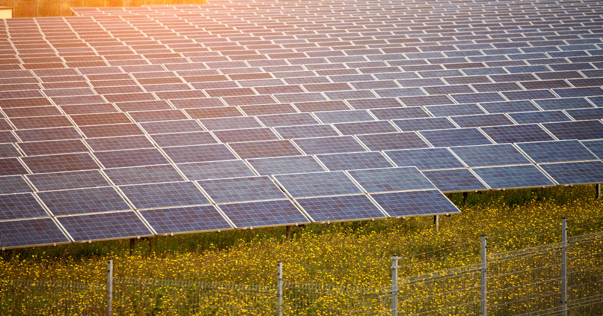 découvrez les avantages du photovoltaïque au sol, une solution innovante et durable pour produire de l'énergie verte. apprenez comment cette technologie permet de maximiser l'utilisation des espaces disponibles tout en réduisant votre empreinte carbone. idéal pour les particuliers et les entreprises souhaitant s'engager dans une démarche écologique.