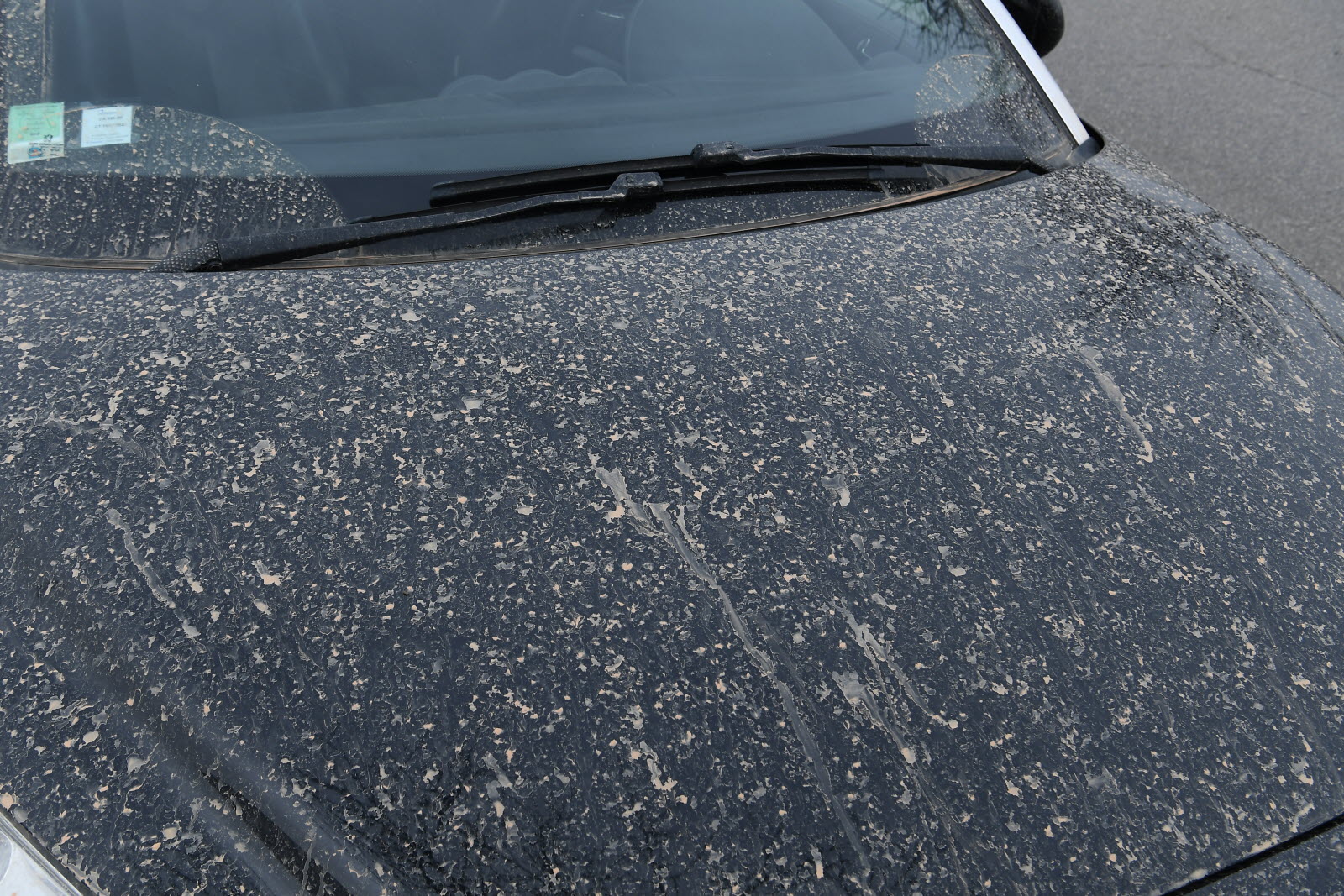 découvrez le phénomène fascinant de la pluie de sable : origines, impacts environnementaux et spectacles naturels impressionnants. plongez dans ce phénomène spectaculaire qui surprend et fascine.