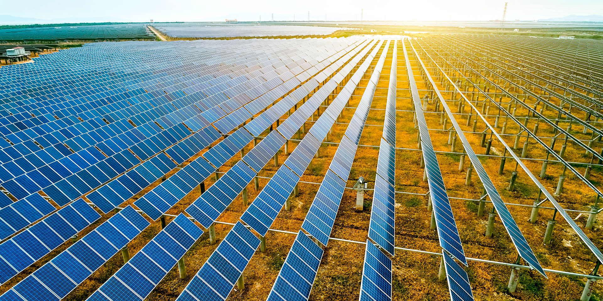 découvrez tout ce qu'il faut savoir sur le ppa (plan de protection de l'environnement), ses enjeux, ses objectifs et son impact sur notre quotidien. informez-vous sur les stratégies et initiatives visant à préserver notre planète tout en favorisant le développement durable.