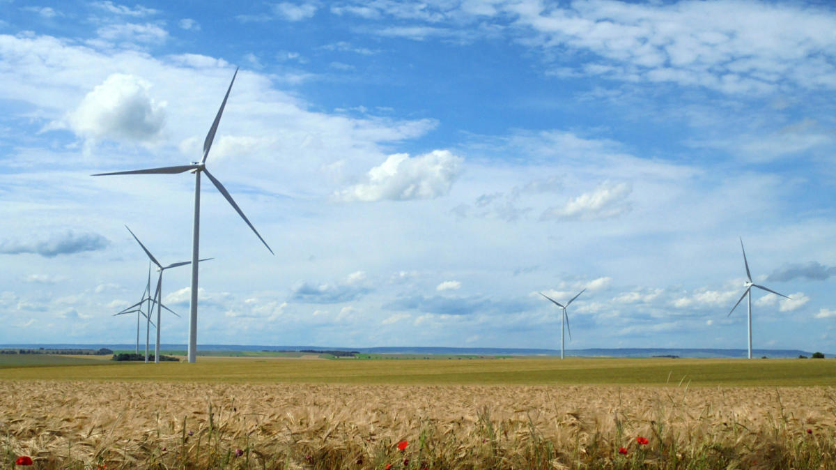 découvrez ppa vert, votre partenaire pour une transition écologique réussie. profitez de conseils, d'astuces et de solutions durables pour un avenir plus vert.