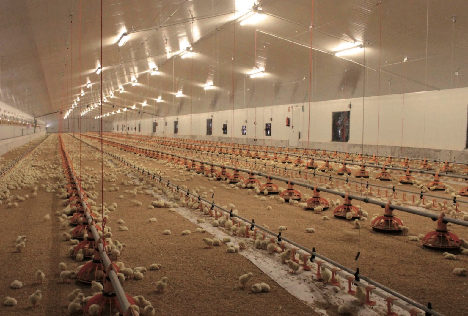 découvrez les prix de l'isolation agricole pour améliorer le confort et l'efficacité énergétique de vos bâtiments agricoles. comparez les solutions adaptées à vos besoins et obtenez des conseils d'experts.