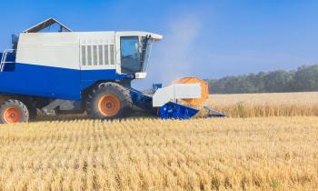 découvrez les tarifs actuels pour la location de terres agricoles, incluant les facteurs influençant les prix et les conseils pour optimiser vos choix locatifs. obtenez des informations complètes pour prendre des décisions éclairées et tirer le meilleur parti de votre exploitation.
