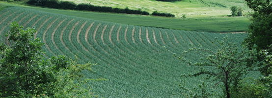 découvrez les prix de location des bâtiments agricoles au mètre carré. comparez les offres et trouvez le meilleur rapport qualité-prix pour vos projets agricoles.