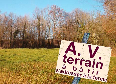 découvrez les dernières tendances et les variations des prix au mètre carré pour les terres agricoles en france. informez-vous sur les facteurs influençant ces prix et les opportunités d'investissement dans le secteur agricole.