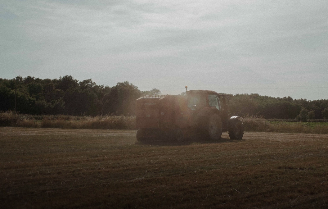 découvrez les prix au mètre carré pour la location de terrains agricoles en france. comparez les tarifs et trouvez l'emplacement idéal pour vos projets agricoles. obtenez des informations sur les tendances du marché et les facteurs influençant les coûts de location.