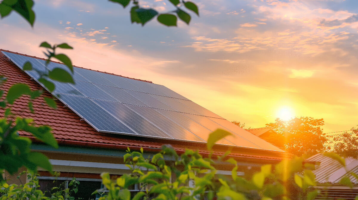 découvrez les prix des panneaux solaires pour optimiser votre investissement énergétique. comparez les offres, les marques et les aides disponibles pour réduire votre facture d'électricité tout en préservant l'environnement.