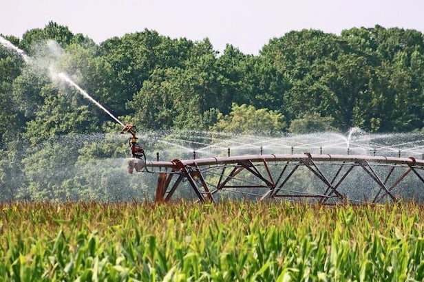 découvrez les tarifs et conditions de raccordement à l'eau pour les activités agricoles. informez-vous sur les démarches à suivre et les coûts associés pour un approvisionnement en eau adapté à vos besoins agricoles.