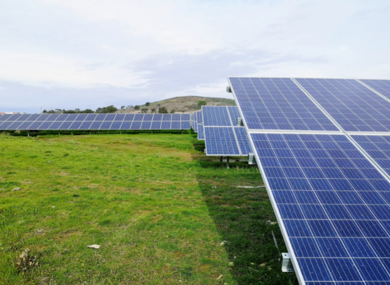 découvrez tout ce qu'il faut savoir sur les prix de rachat des panneaux photovoltaïques en 2025. informez-vous sur les tendances du marché, les aides financières disponibles et les meilleures stratégies pour maximiser vos revenus grâce à l'énergie solaire.